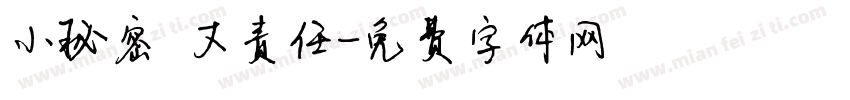 小秘密 大责任字体转换